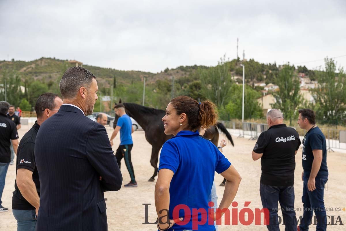 Control veterinario de los Caballos del Vino en Caravaca