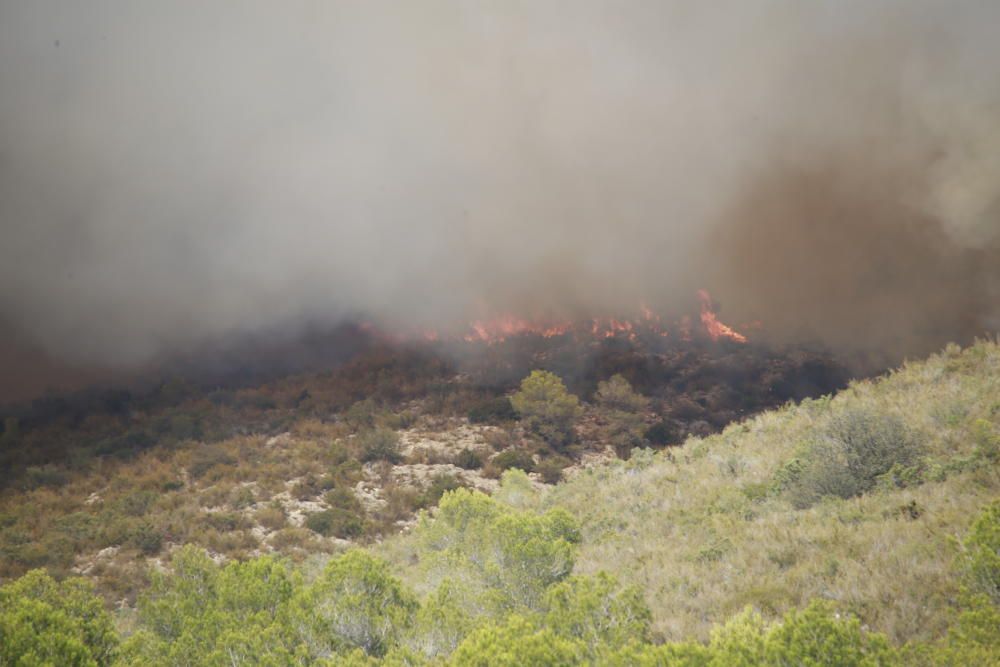 Incendio forestal en Llutxent