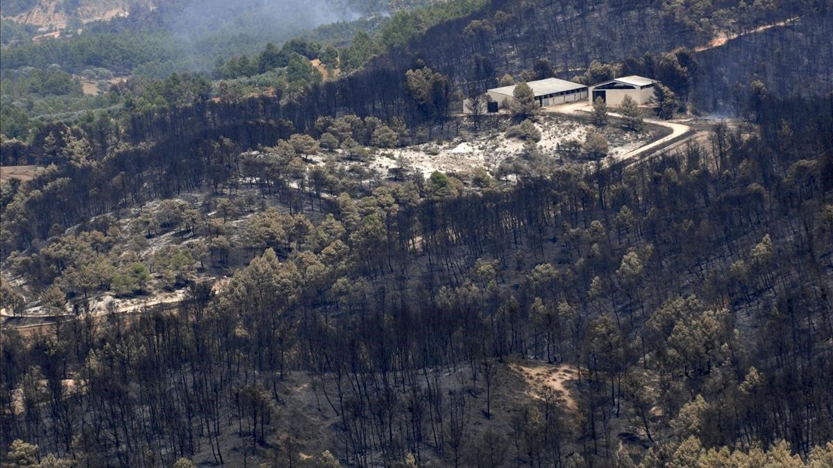 zentauroepp48937099 horta de sant joan  terra alta   4 07 2019  incendio 2009  f190711193634