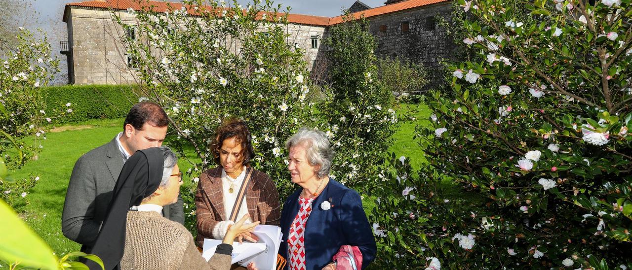 Camelios en el jardín del monasterio de Armenteira.
