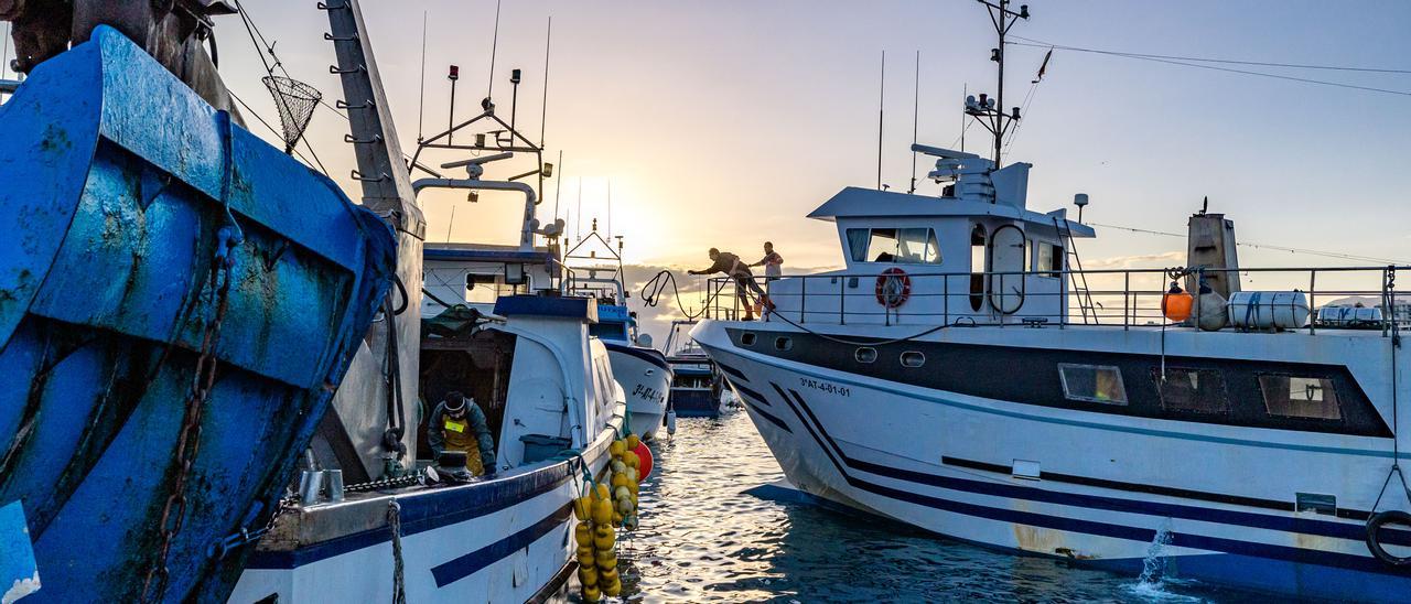 Pescadores amarrando sus embarcaciones en el puerto de la Vila Joiosa.