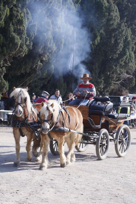 Festa de Sant Antoni Abat a Torroella de Montgrí