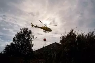 El fuego ha quemado ya 14.000 hectáreas en Tenerife, la mitad de su corona forestal