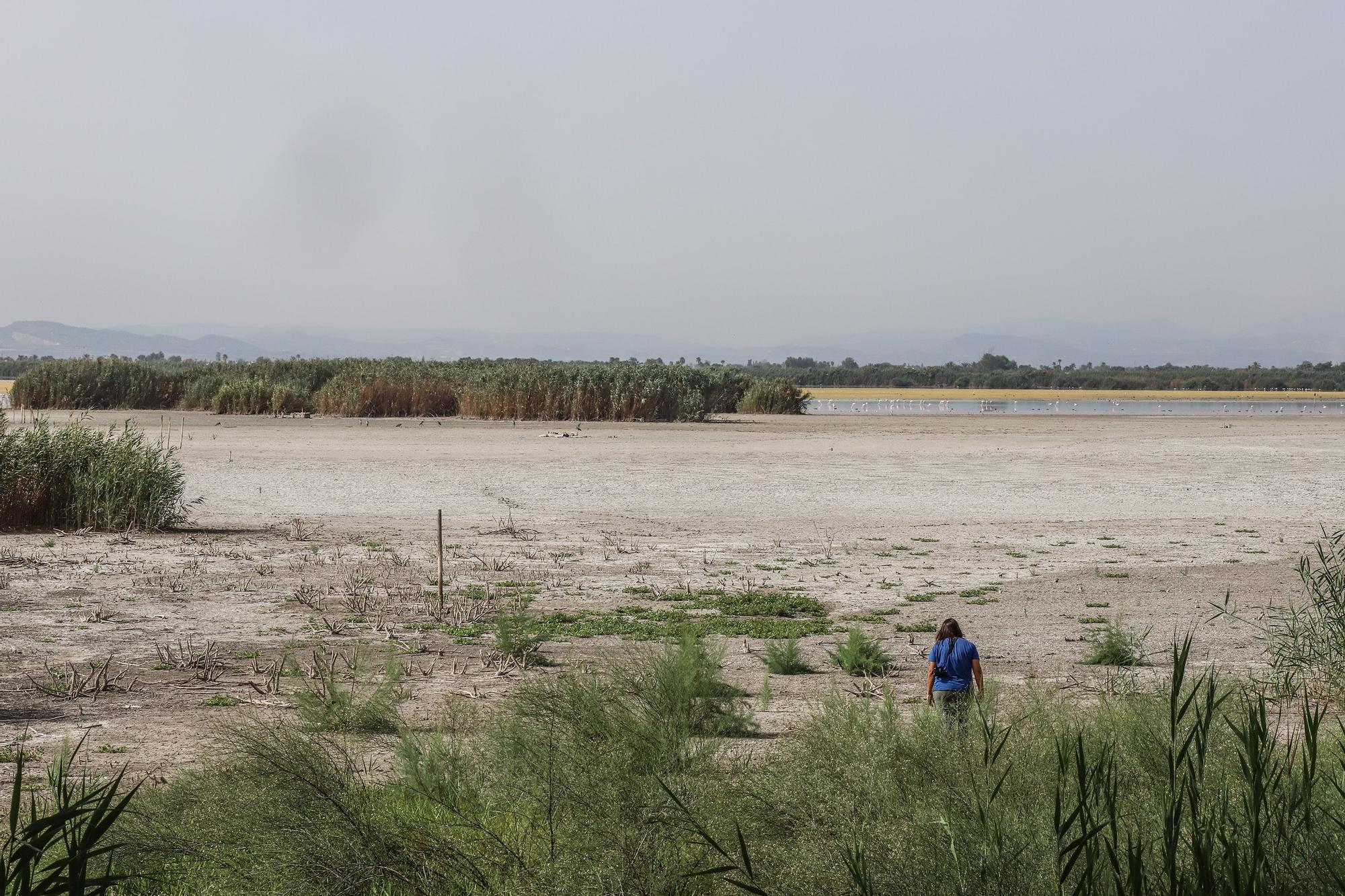 El Hondo deseca sus dos embalses para regenerar el agua