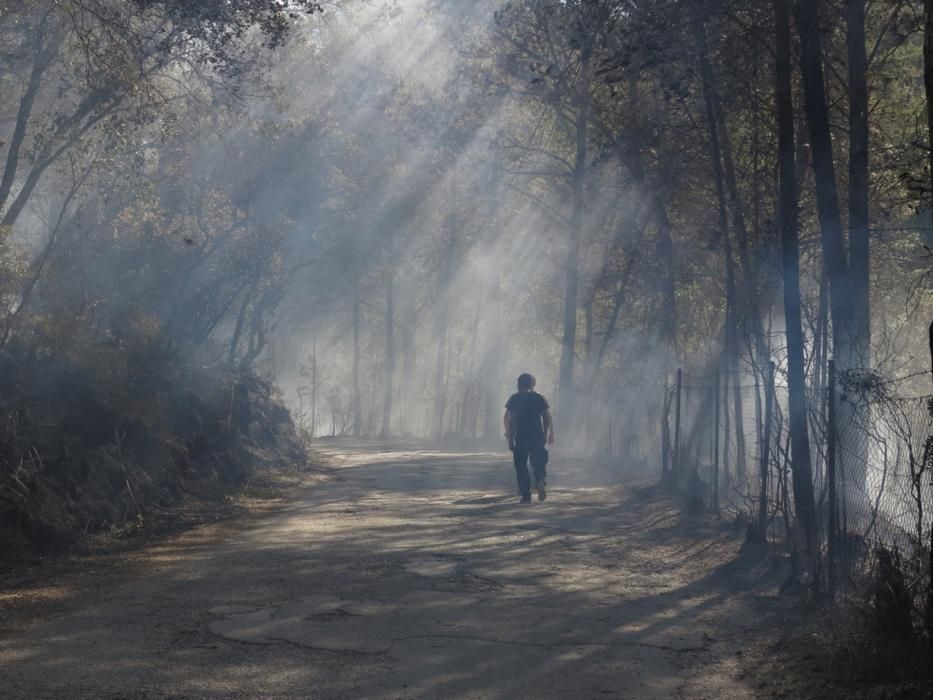 Waldbrand bei Puigpunyent