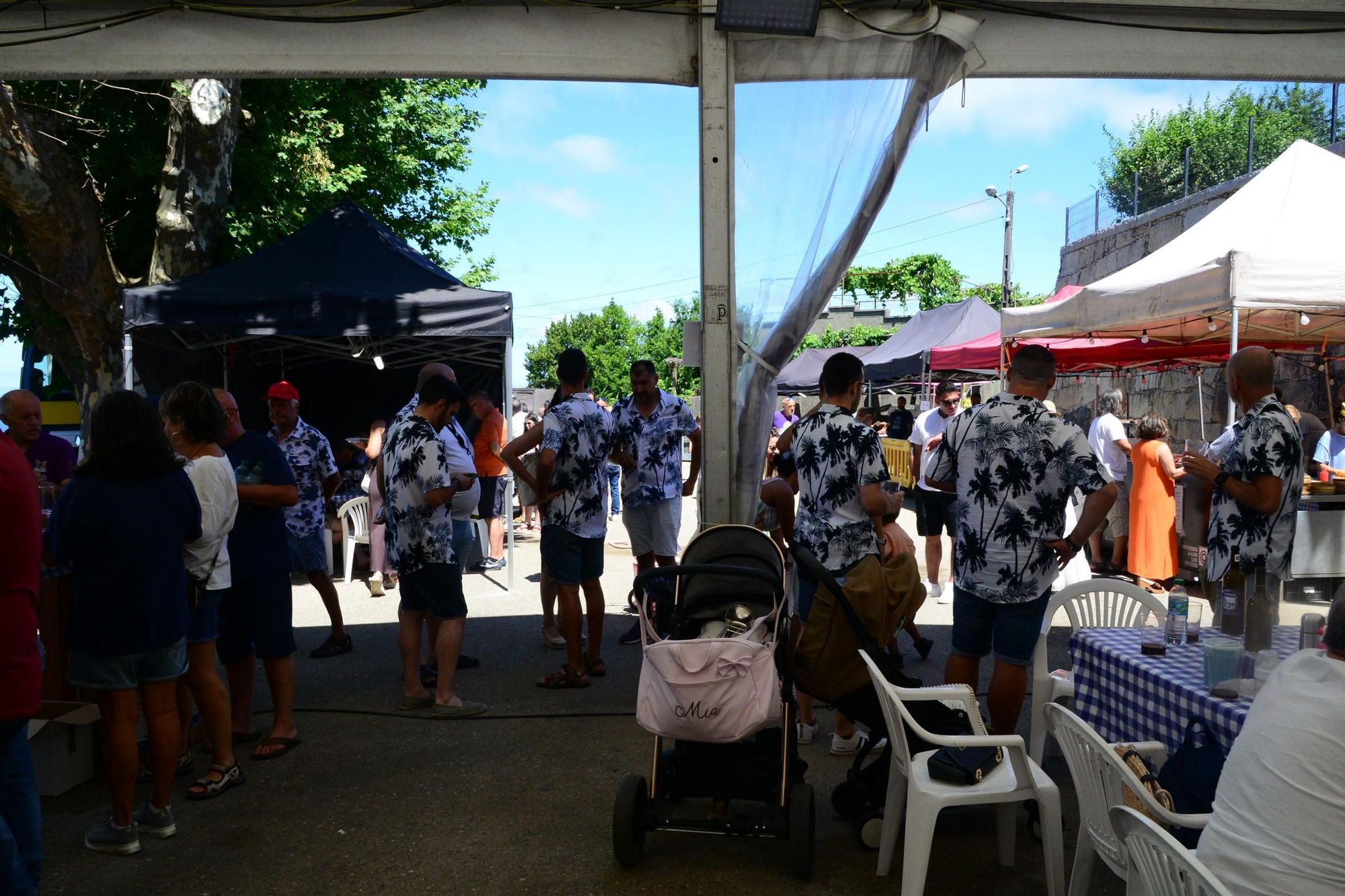 El último día de la XIX Festa do Tinta Femia de Cela