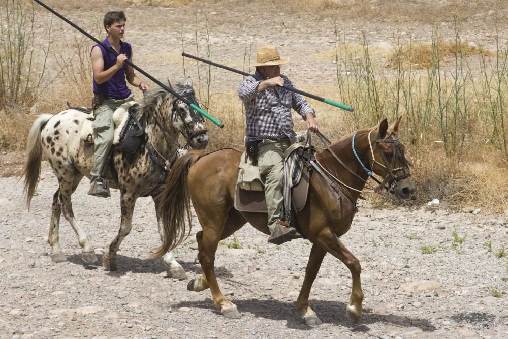 Fiestas de Sagunto. Recinto taurino.