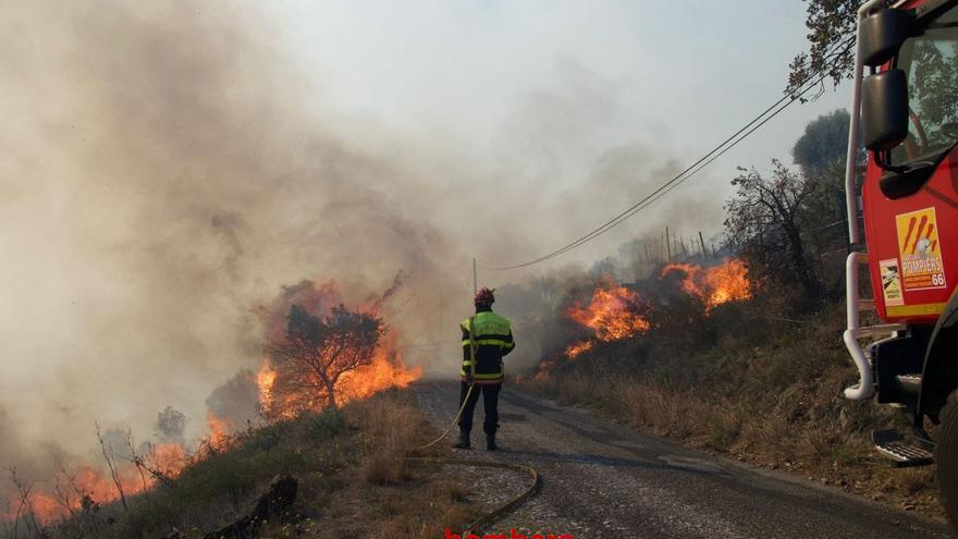 Un incendi sense control atiat per la tramuntana alerta Portbou