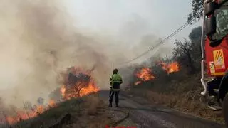 L'incendi ha cremat unes 100 hectàrees a Portbou