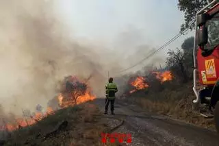 Segueixen remullant la zona afectada pel foc a Portbou per donar-lo per extingit