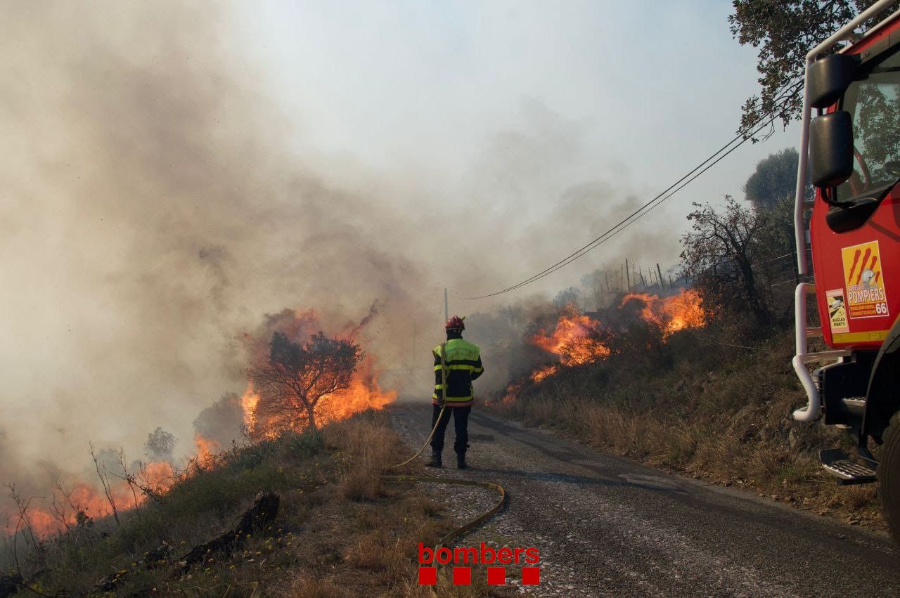 Un incendi sense control atiat per la tramuntana alerta Portbou