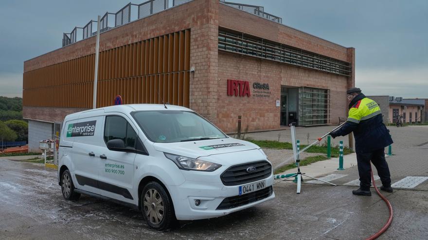 Desinfecció d’un vehicle a la sortida del Centre d’Investigació en Sanitat Animal on es porten les mostres de senglars trobats cartell per certificar la presència de la pesta porcina.