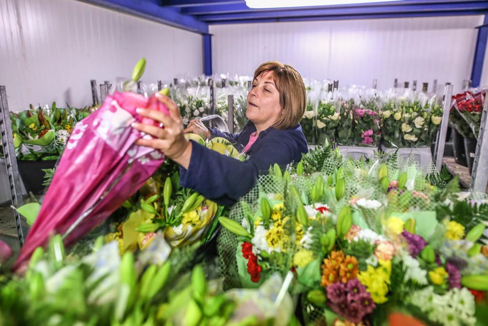 Un millón y medio de flores para el recuerdo