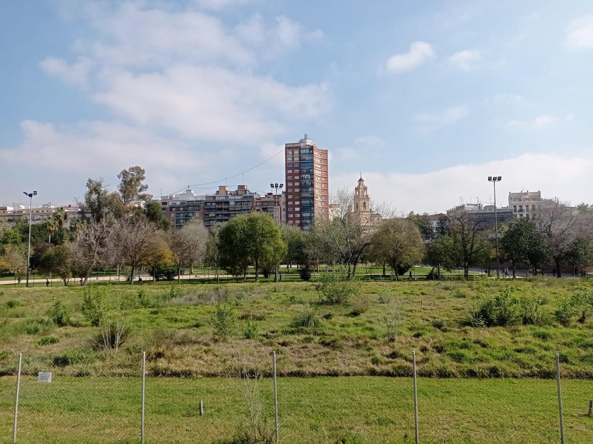 El espacio del nuevo ajardinamiento