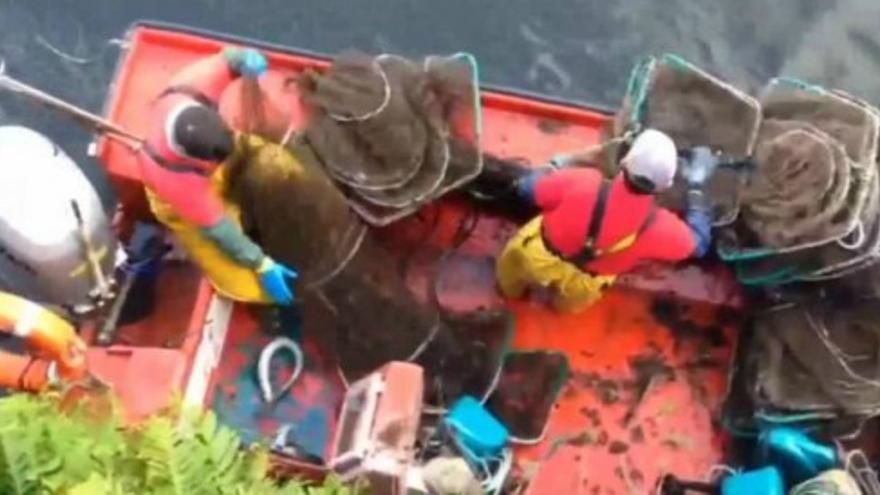 La pesca de la lamprea en Arousa