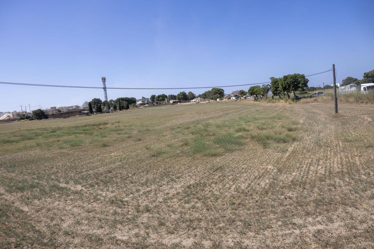 Suelo calificado como área de transición en s'Arenal.