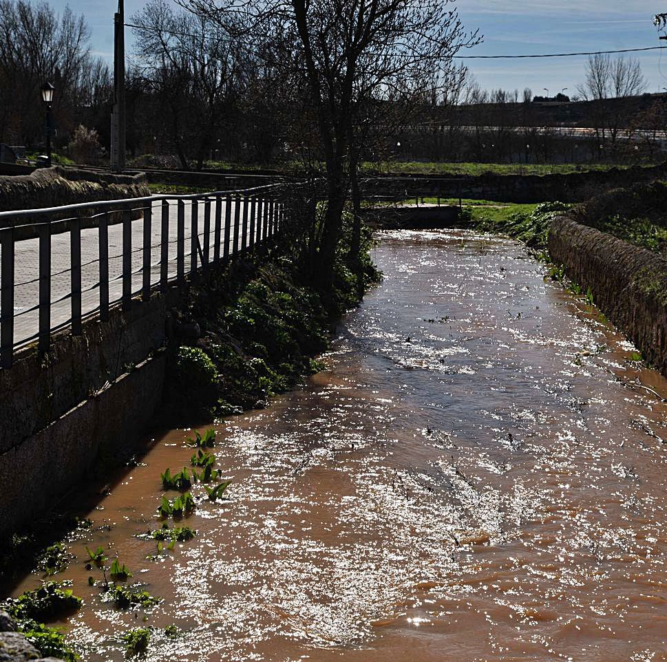 El arroyo, en la pasarela del barrio de Olivares. | Jose Luis Fernández