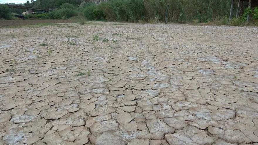 Finca agrícola presumptament afectada per la salinització