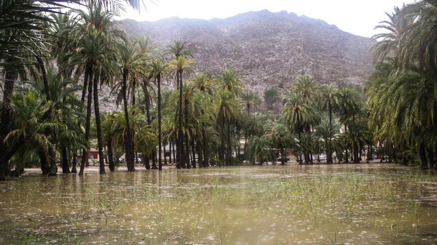 El río Segura, casi desbordado