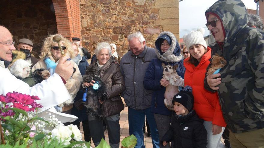 El párroco bendiciendo a uno de los canes en Santa Cristina. | E. P.