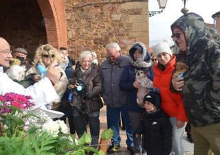 San Antón, una fiesta para las mascotas en la comarca de Benavente