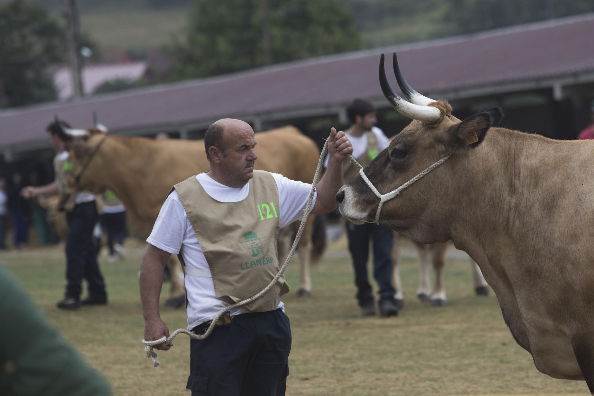 Feria Agroalimentaria de Productos Ecológicos de Llanera y Certamen Concurso Ganadero