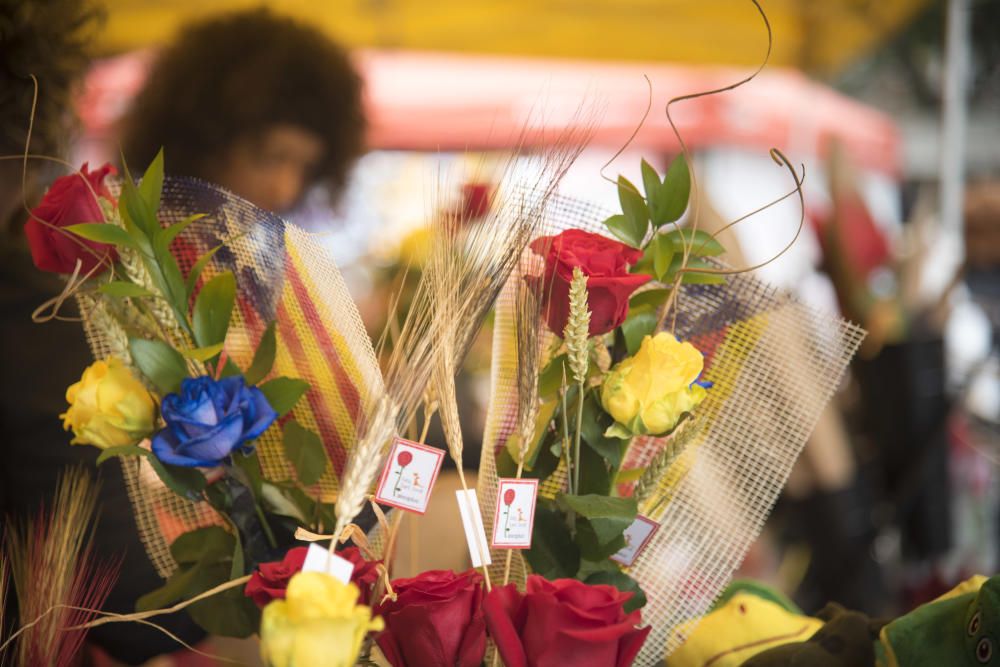 Diada de Sant Jordi a Manresa