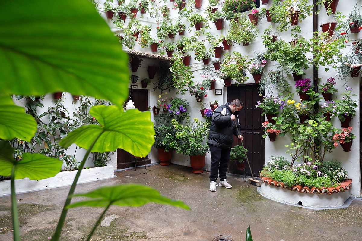 Los restos de la calima en los patios