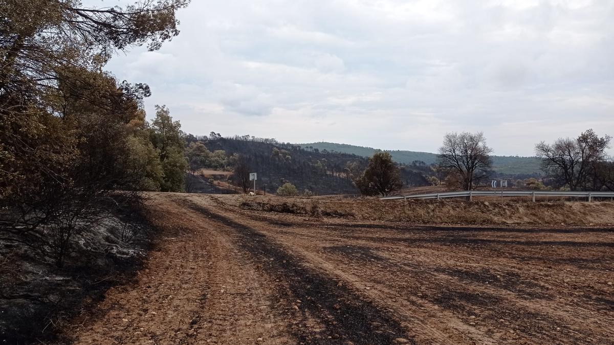 Incendi a la Conca de Barberà i a l'Anoia, en fotos