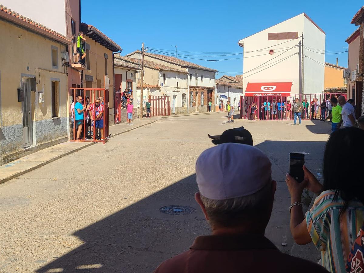 GALERÍA | Morales de Toro vive su primer encierro de las fiestas de San Roque 2024 GALERÍA | Morales de Toro vive su primer encierro de las fiestas de San Roque 2024