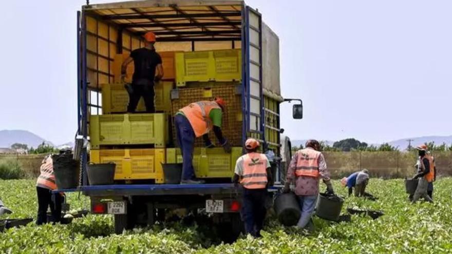 La Región de Murcia, un ejemplo en agricultura ecológica