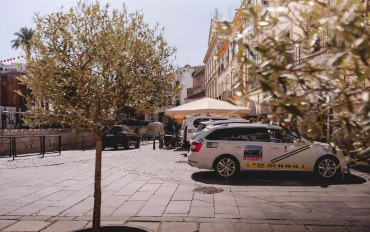 Taxis en la parada de la plaza de España de Mérida.