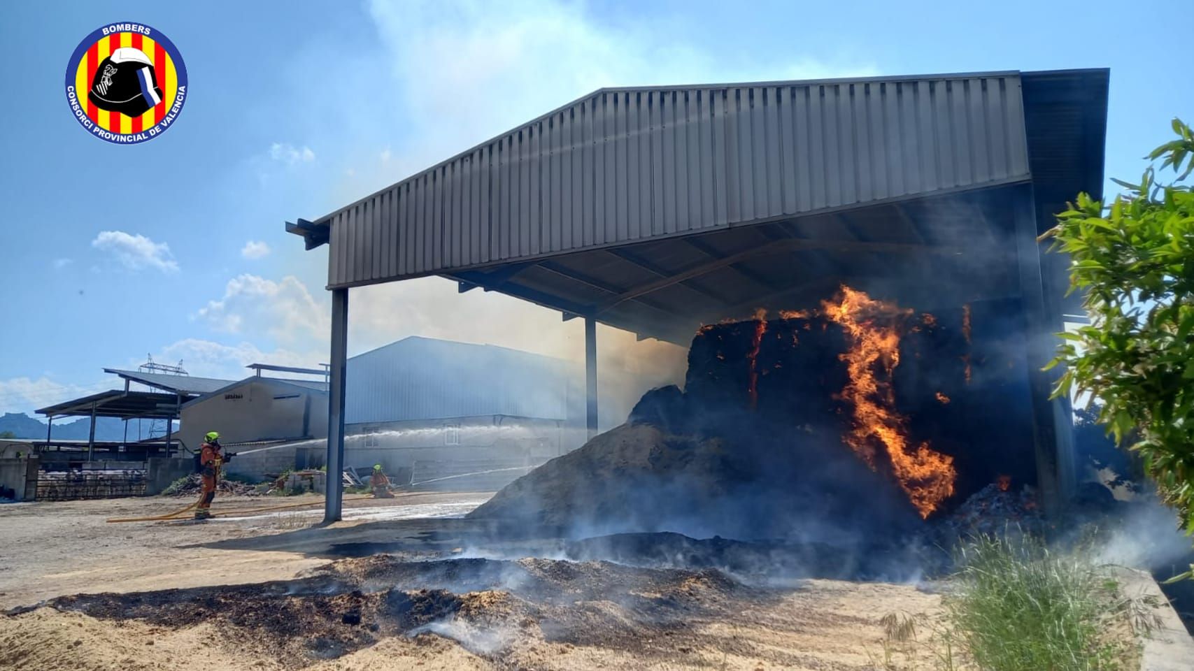 Un incendio en un palmeral afecta a una granja en Xàtiva