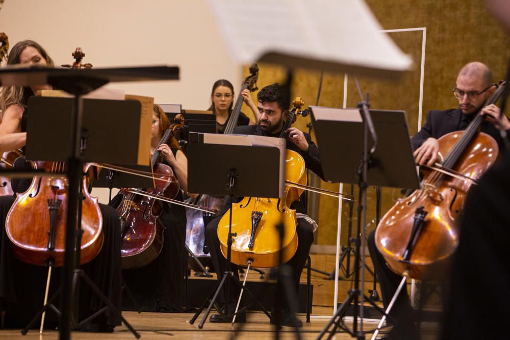 La orquesta ADDA Simfònica ofreció el primer concierto de una agrupación de sus características con público.