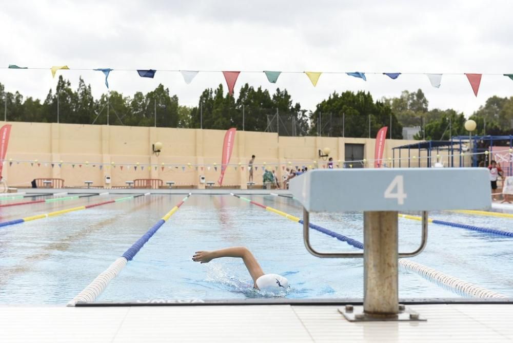 Regional de Natación