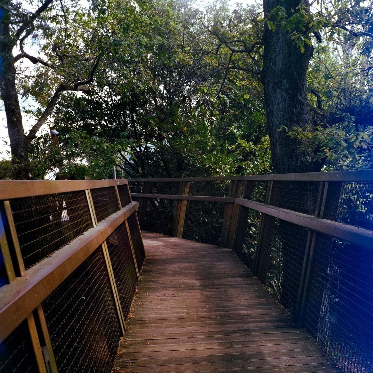 Este Treetop Walk se encuentra en la Fundación Serralves.