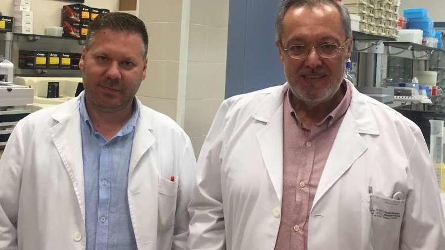 Científicos gallegos diseñan un nuevo medicamento para tratar el derrame cerebral
