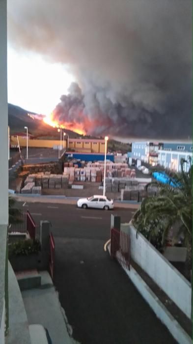 Incendio forestal en la zona de Las Manchas, en La Palma