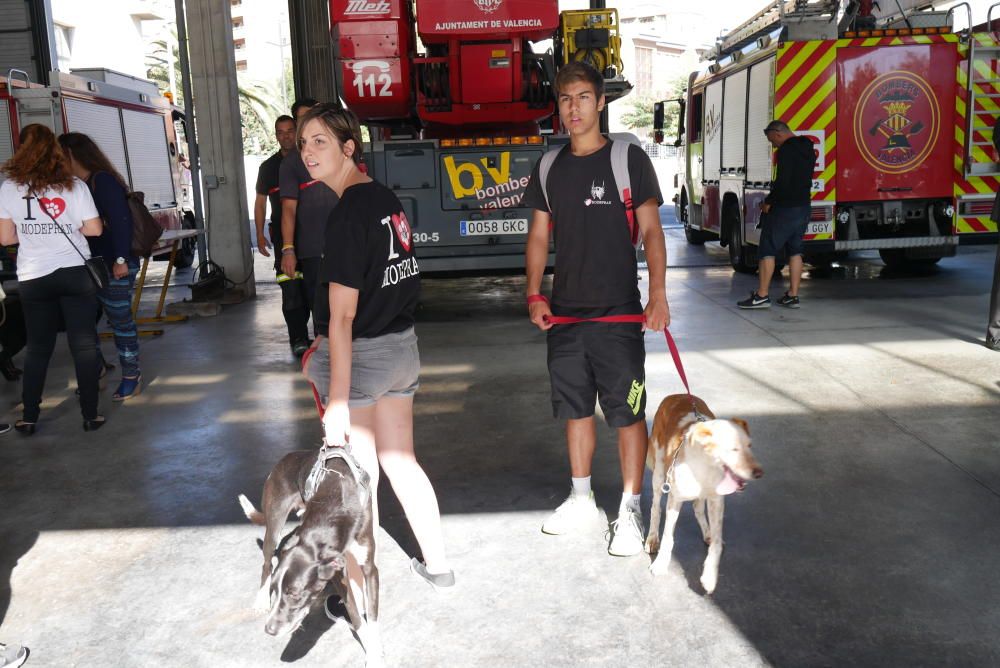 Los bomberos, en la campaña con las mascotas.