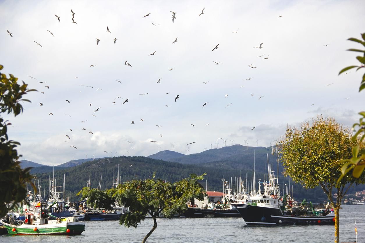 Portosín, en Galicia.