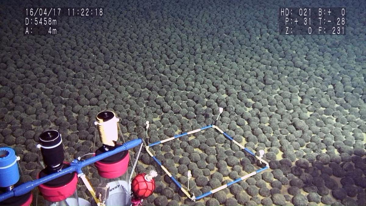 Unos nódulos de manganeso descubiertos en un área densa a 5.500 metros de profundidad en la zona de exclusión económica de Japón, alrededor de Minamitorishima, en una imagen del 17 de abril de 2016.