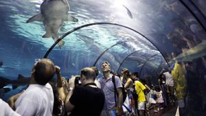 Visitantes en el Aquàrium de Barcelona.