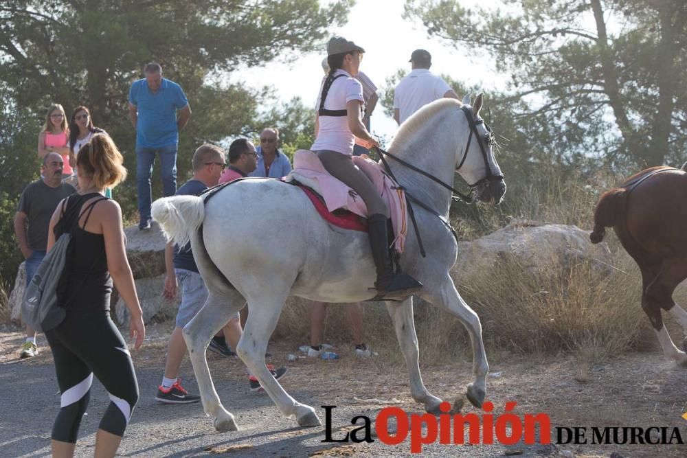 Vereda en Moratalla