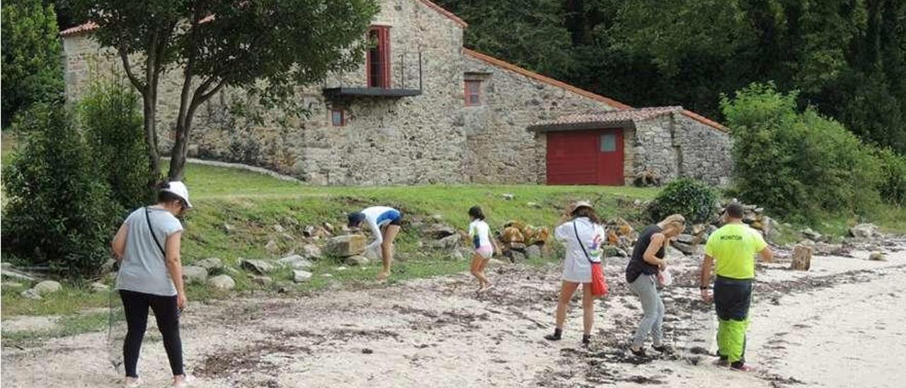 Una de las jornadas de limpieza del Colexio de Biólogos. // FdV