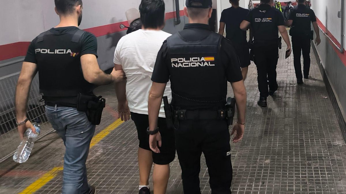 Die Nationalpolizei hat in Palma am Mittwoch (25.6.) und am Donnerstag Morgen (26.6.)  insgesammt sieben Männer festgenommen.