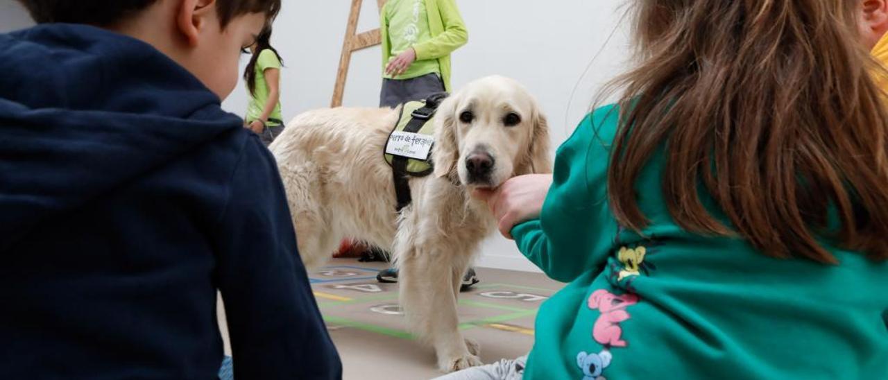 La perra &quot;Danka&quot;, con niños del centro Köa de atención a la diversidad funcional.