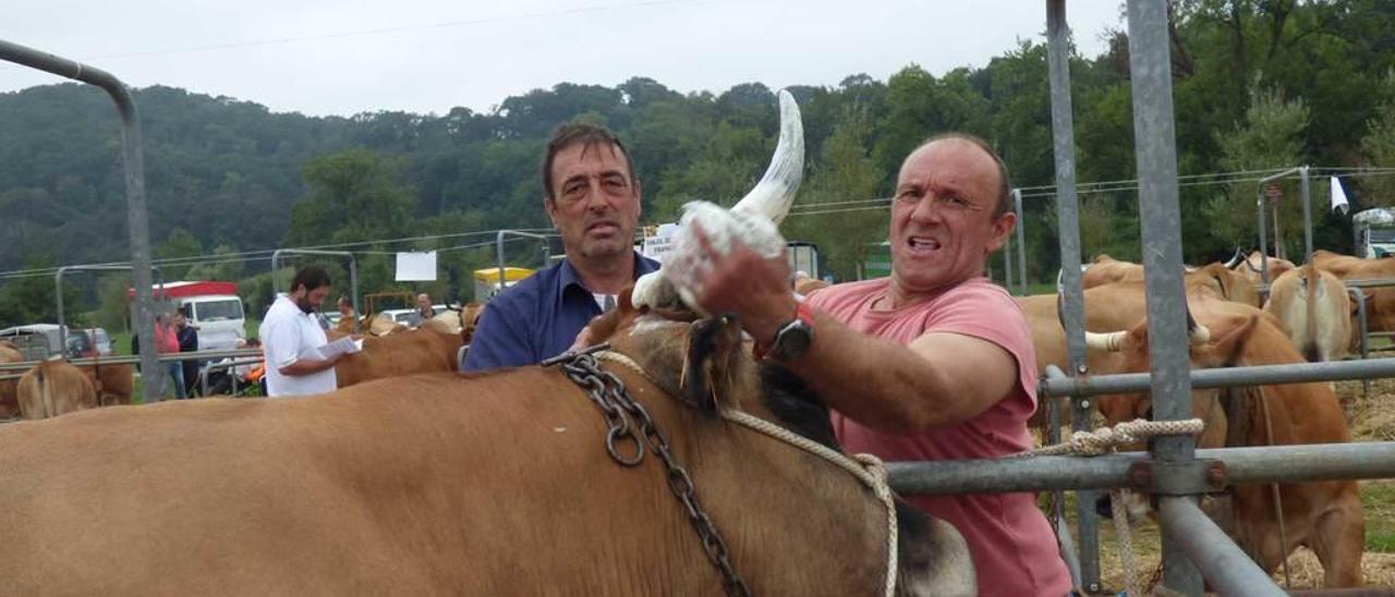 Santiago Aguirre y Manuel Arroyo se afanan en limpiar los cuernos.