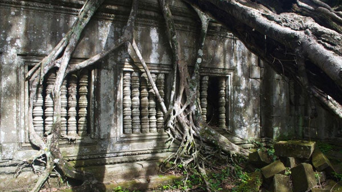 Columnas y raíces se funden en las paredes de Beng Mealea