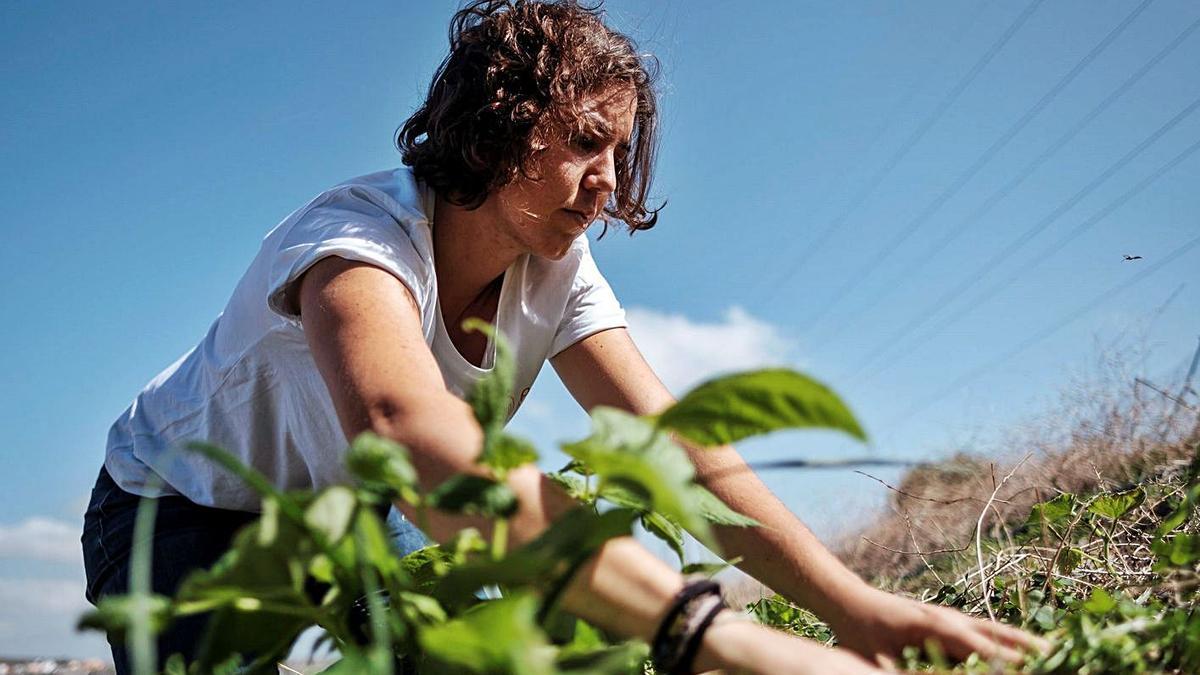 Una de las trabajadoras de las empresas que comparte espacio en la finca.