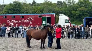 La Ascensión vuelve a cabalgar entre equinos, pulpo y tradición popular en Amio
